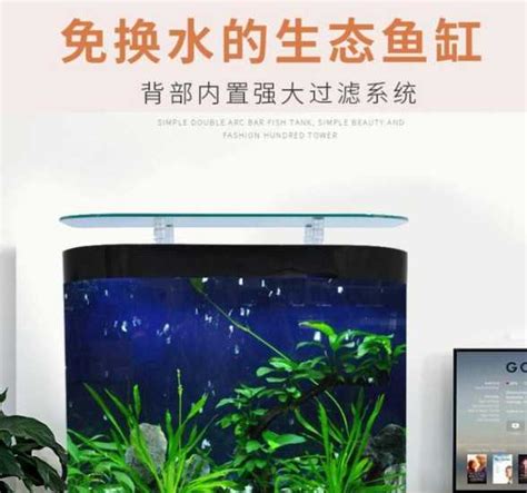 魚缸 換水|魚缸的換水頻率與方法